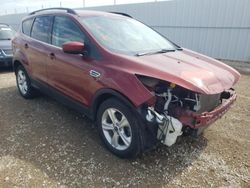 2014 Ford Escape SE en venta en Nisku, AB