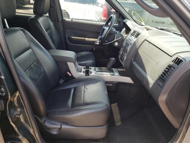 2009 Ford Escape XLT