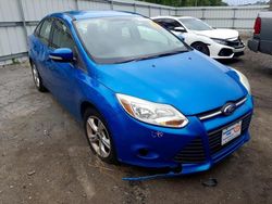 Ford Focus SE salvage cars for sale: 2013 Ford Focus SE