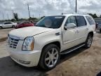 2008 Cadillac Escalade Luxury