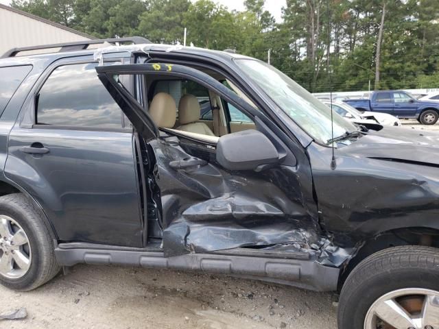 2009 Ford Escape XLT