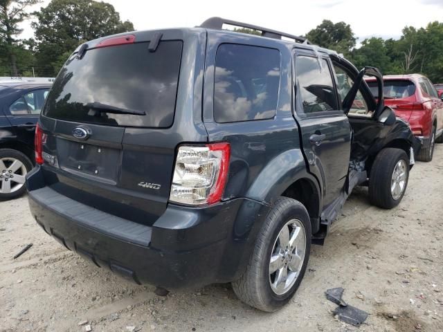 2009 Ford Escape XLT