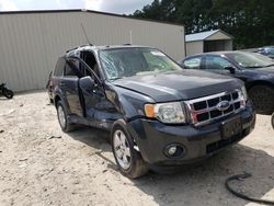 Ford Escape XLT Vehiculos salvage en venta: 2009 Ford Escape XLT