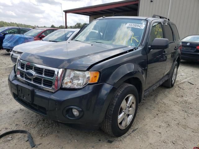 2009 Ford Escape XLT