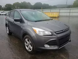 Ford salvage cars for sale: 2014 Ford Escape SE