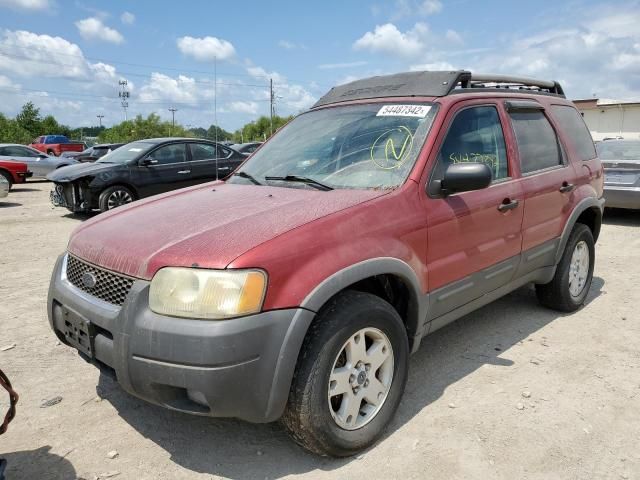 2003 Ford Escape XLT