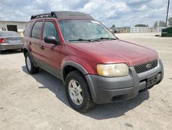 Ford Escape xlt salvage cars for sale: 2003 Ford Escape XLT