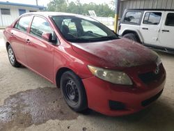 Toyota salvage cars for sale: 2010 Toyota Corolla Base