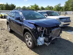 Salvage cars for sale at York Haven, PA auction: 2019 Toyota Rav4 XLE