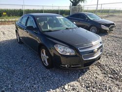 Salvage cars for sale at Cicero, IN auction: 2008 Chevrolet Malibu LTZ