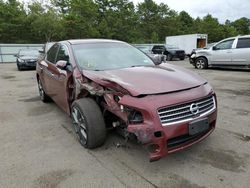 Nissan salvage cars for sale: 2010 Nissan Maxima S