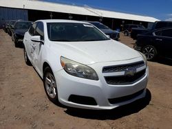 Salvage cars for sale from Copart Phoenix, AZ: 2013 Chevrolet Malibu 1LT