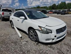 Nissan Maxima S salvage cars for sale: 2011 Nissan Maxima S