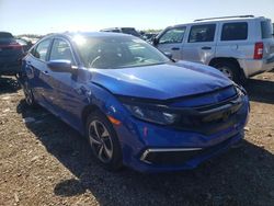 Honda Civic lx salvage cars for sale: 2020 Honda Civic LX