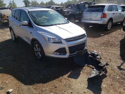 Salvage cars for sale at Bridgeton, MO auction: 2015 Ford Escape SE