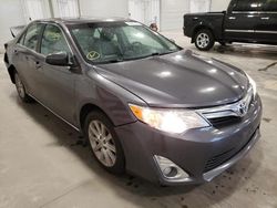 Salvage cars for sale at Avon, MN auction: 2013 Toyota Camry L