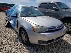 Salvage cars for sale at Earlington, KY auction: 2009 Ford Focus SES