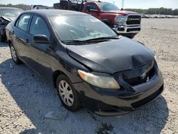 Salvage cars for sale from Copart Memphis, TN: 2009 Toyota Corolla Base