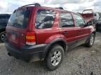 2005 Ford Escape XLT