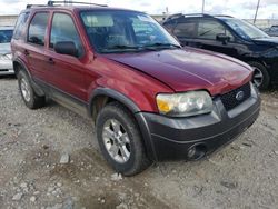 4 X 4 for sale at auction: 2005 Ford Escape XLT