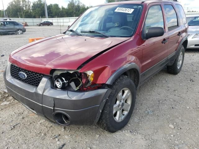 2005 Ford Escape XLT