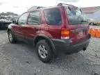 2005 Ford Escape XLT