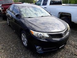 Toyota Camry L salvage cars for sale: 2014 Toyota Camry L