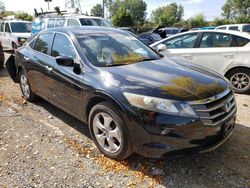 Honda Accord salvage cars for sale: 2010 Honda Accord Crosstour EXL