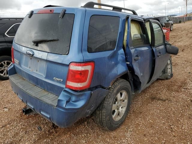 2009 Ford Escape XLT