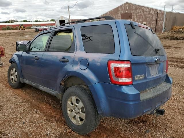 2009 Ford Escape XLT