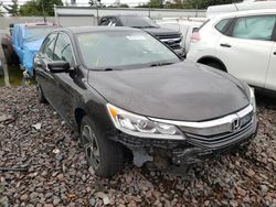 Salvage cars for sale at Pennsburg, PA auction: 2016 Honda Accord LX