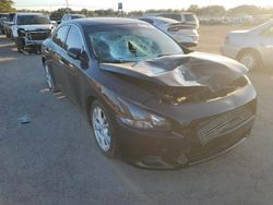 Salvage cars for sale from Copart Newton, AL: 2013 Nissan Maxima S