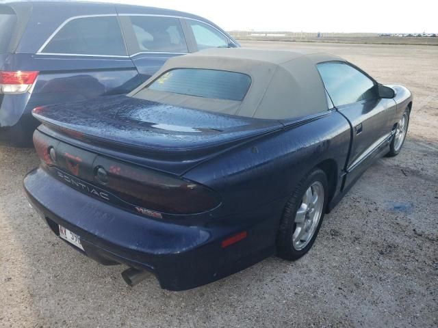 2002 Pontiac Firebird Trans AM