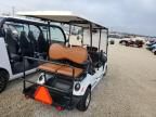2021 Aspt Golf Cart