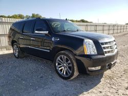 Salvage cars for sale at New Braunfels, TX auction: 2012 Cadillac Escalade ESV Platinum