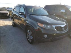 Salvage Cars with No Bids Yet For Sale at auction: 2013 KIA Sorento EX