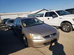 Salvage cars for sale from Copart Dyer, IN: 2003 Honda Accord EX