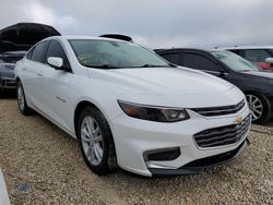 Salvage cars for sale from Copart Fort Pierce, FL: 2017 Chevrolet Malibu LT