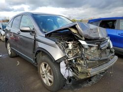 Salvage cars for sale at New Britain, CT auction: 2011 Honda CR-V EXL