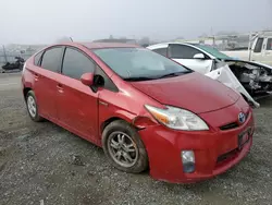 Salvage cars for sale at Antelope, CA auction: 2010 Toyota Prius