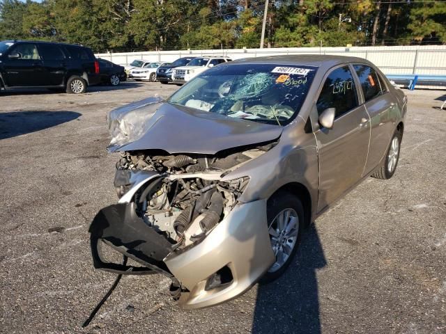 2009 Toyota Corolla Base