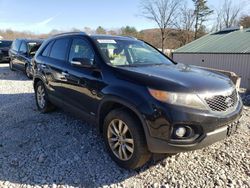 KIA Sorento salvage cars for sale: 2014 KIA Sorento Base