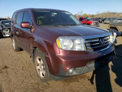 Honda Pilot Exln salvage cars for sale: 2013 Honda Pilot Exln