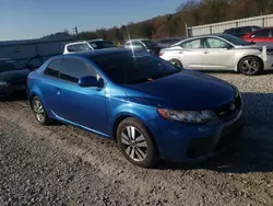 Salvage cars for sale from Copart Prairie Grove, AR: 2013 KIA Forte EX