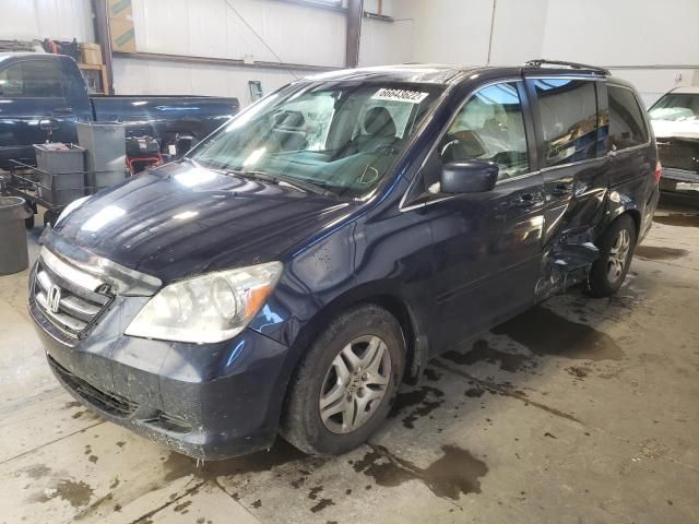 2005 Honda Odyssey EXL