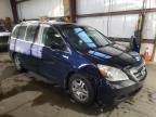 2005 Honda Odyssey EXL