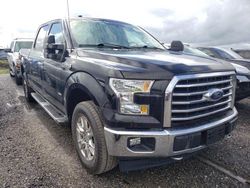 Salvage cars for sale from Copart Arcadia, FL: 2017 Ford F150 Supercrew