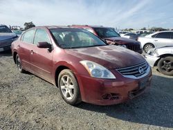Salvage cars for sale at Antelope, CA auction: 2010 Nissan Altima Base