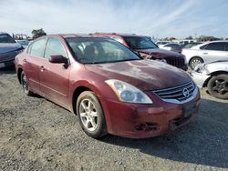 Nissan Altima Base salvage cars for sale: 2010 Nissan Altima Base