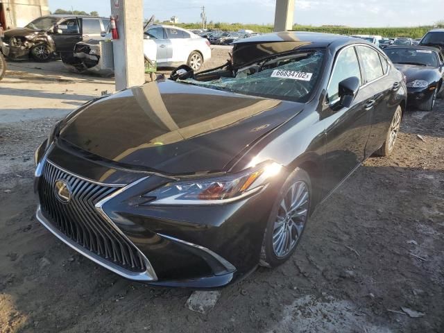 2019 Lexus ES 350